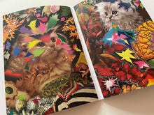 Hisham Bharoocha (Black Dice / Lightning Bolt) | Artist Music Journals (Soundscreen Design)