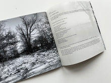 Quincy | Carl Andre (primary information)