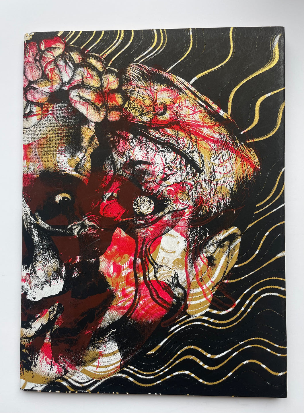 Digital anal destruction | Sekitani Norihiro (Dernier Cri)