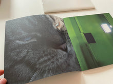 Shaun Flynn | Artist Music Journals (Soundscreen Design)