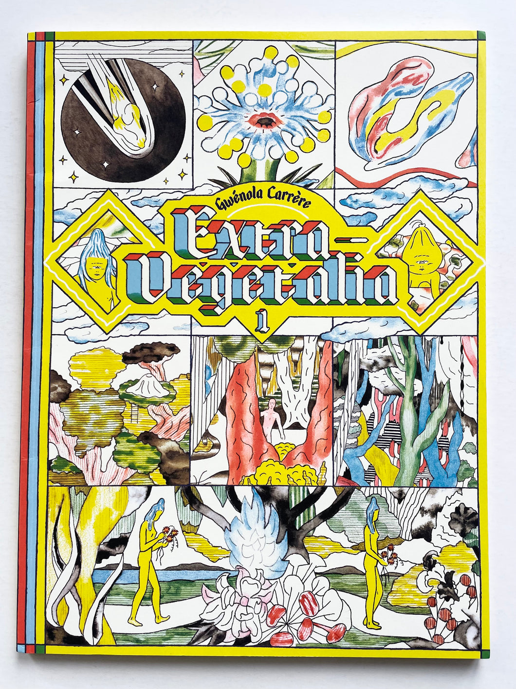 Extra Vegetalia | Gwenola Carrère (Requins Marteaux)