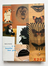 It Is Beautiful...Then Gone | Martin Venezky (Princeton Architecture Press)