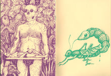 Toyen on the Rock | Anne van der Linden (Bongoût)