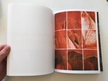 Roze | Magdalena Wysocka (Pogo Books)