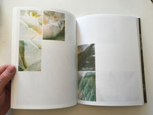 Roze | Magdalena Wysocka (Pogo Books)