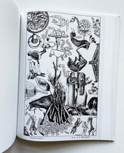 How to look | Ad Reinhardt (David Zwirner / Hatje Cantz)