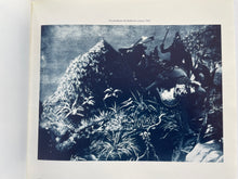 Mélies, un homme d’illusions (centre national de la photographie)*
