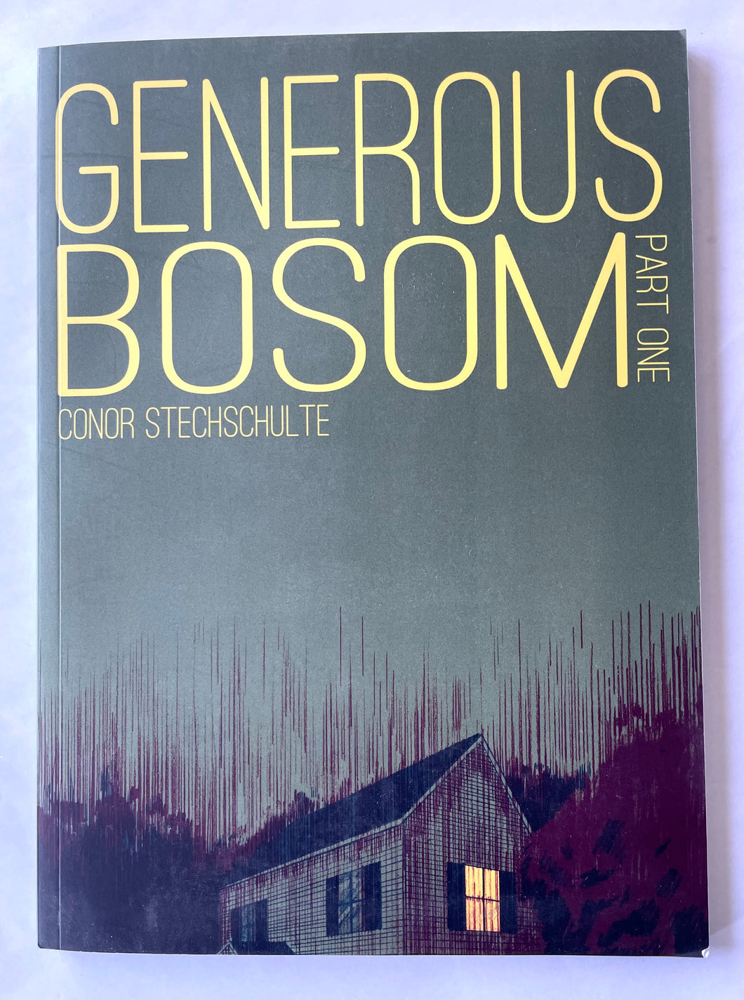 Generous Bosom, Part One | Conor Stechschulte (Breakdown Press)*