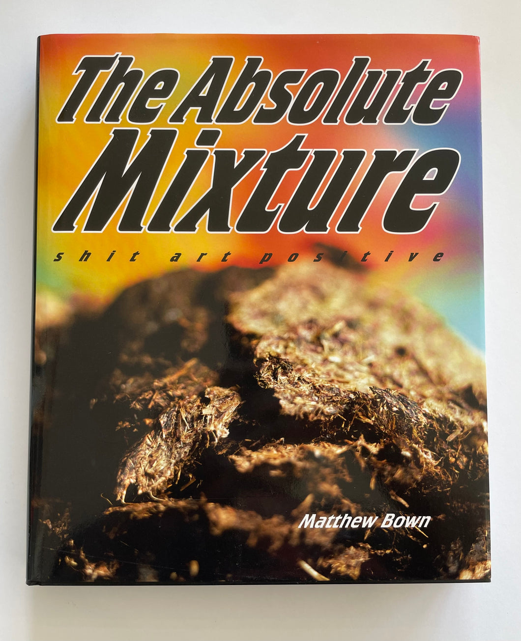 The Absolute Mixture - Shit Art Positive (Divus)*