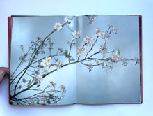 Empty Heaven, photographs from Japan 1989-95 | Paul Graham (Scalo)*