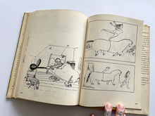 The Tatooed Sailor, cartoon from France | André François (Alfred A. Knopf)