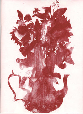 Mini Zine | Celmins on Pay TV by Marco Wagner