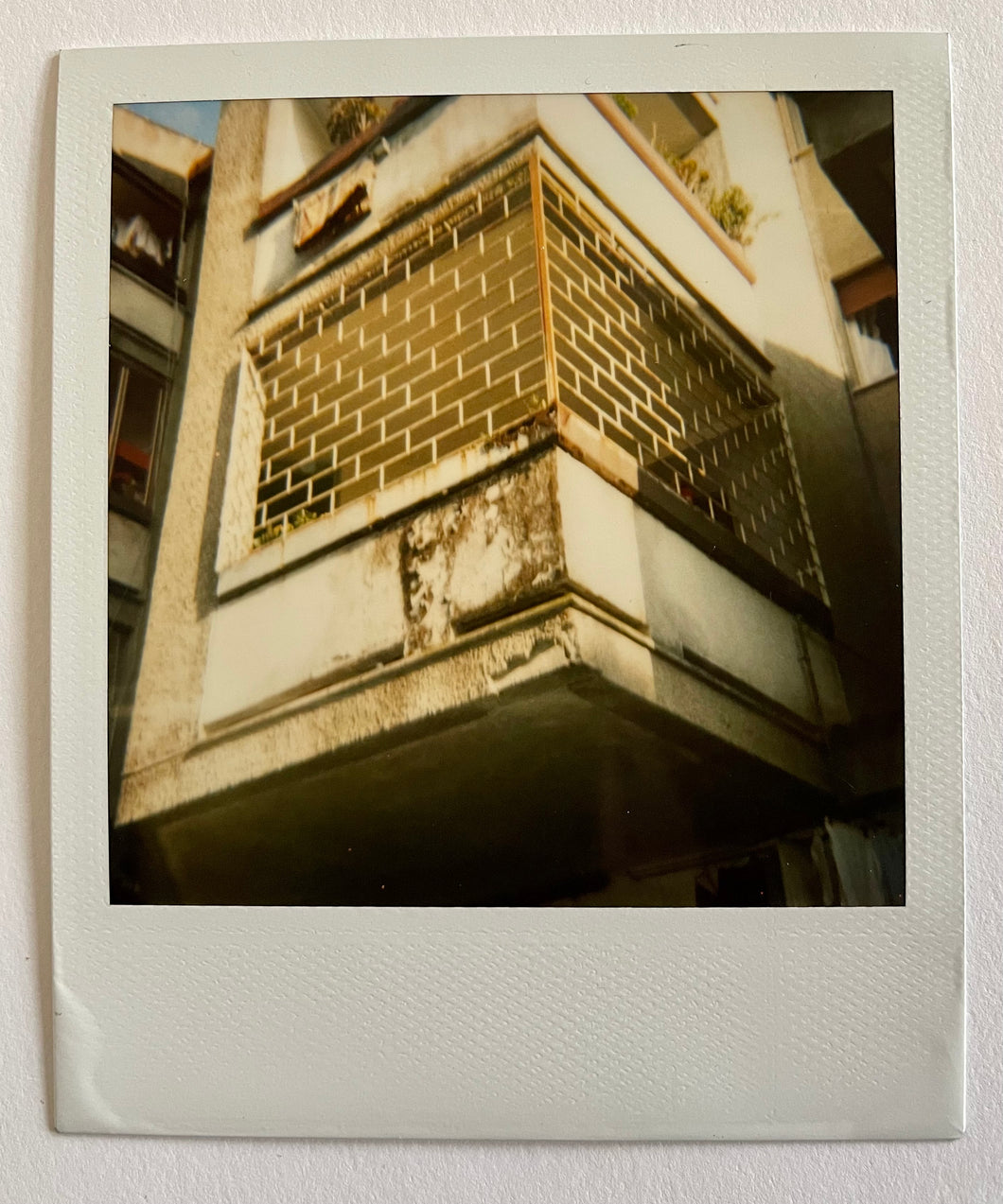 Polaroid | Asia Argento