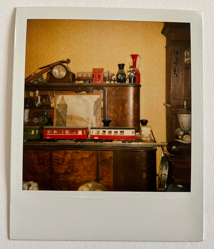 Polaroid | Bruno S