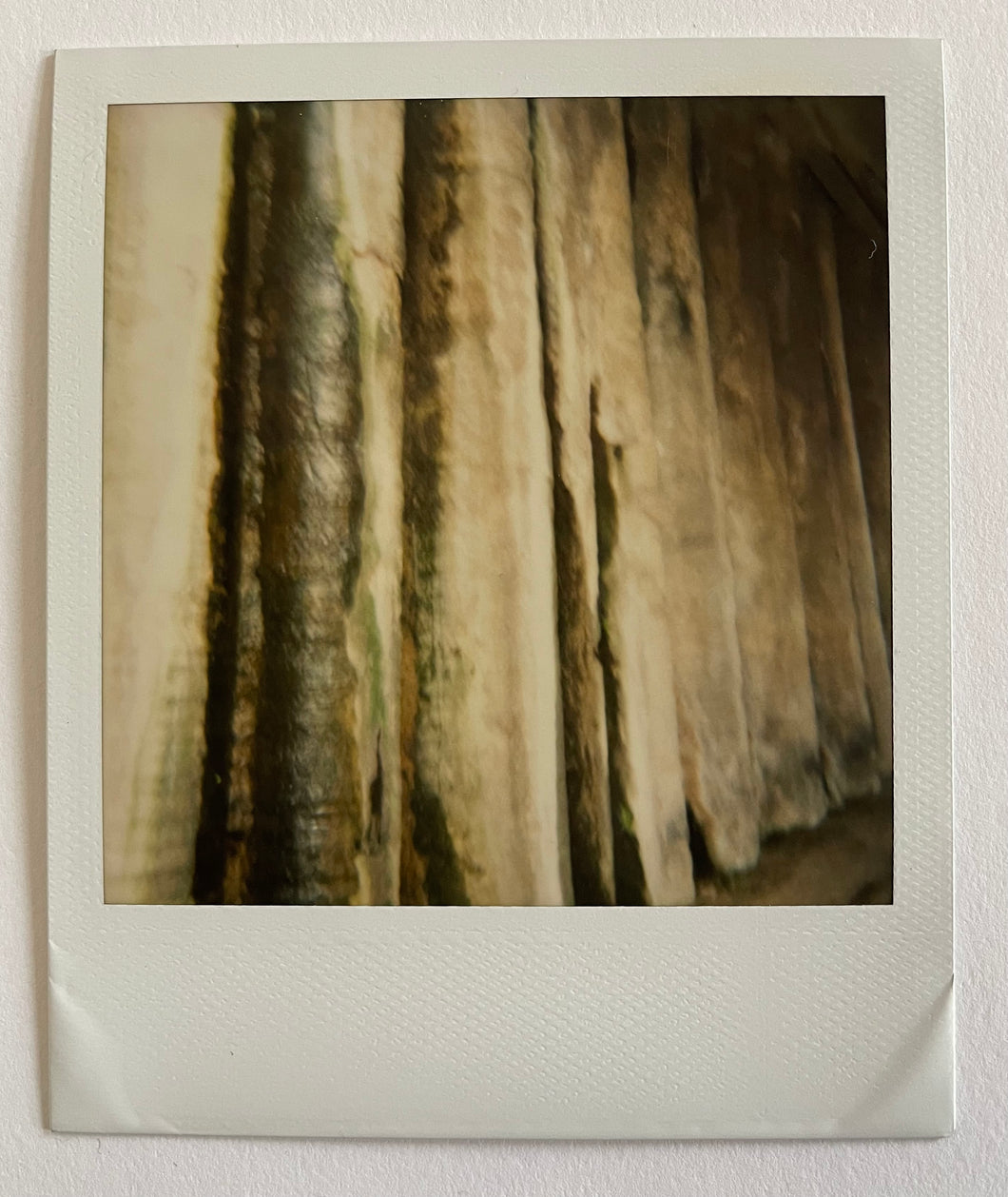 Polaroid | Asia Argento