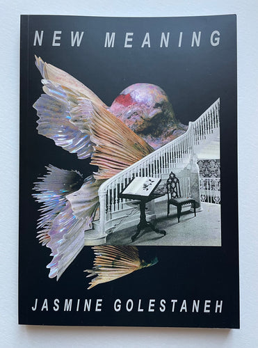 New Meanings  | Jasmine Golestaneh - Tempers (Old Habits Publishing)
